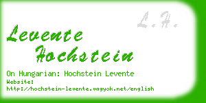 levente hochstein business card